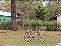 Bike in village